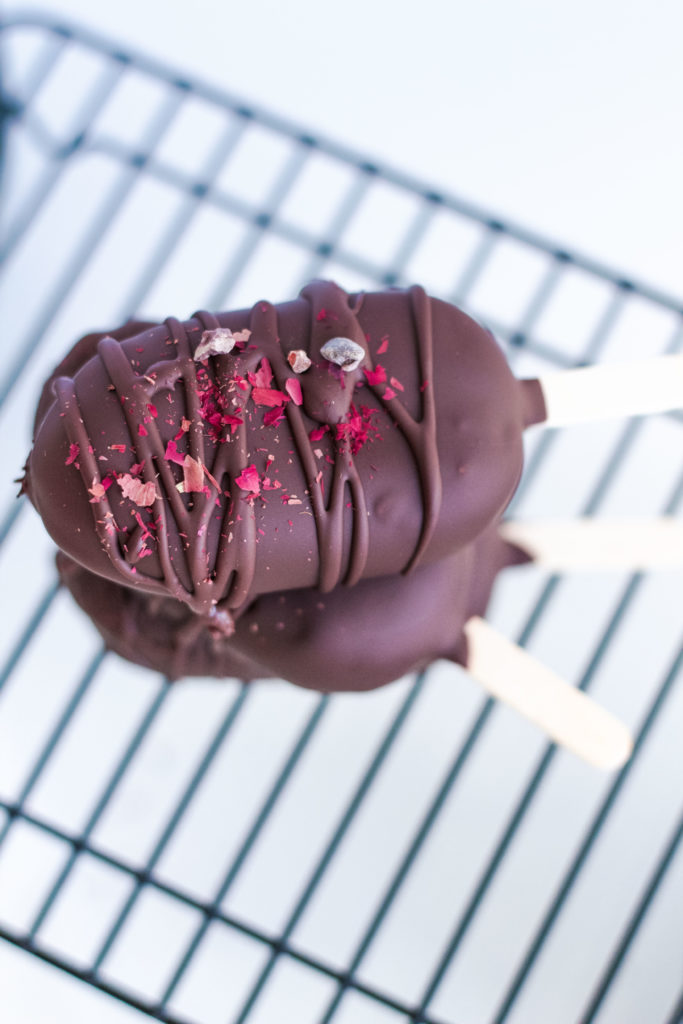 Vegan Chocolate Protein Bar