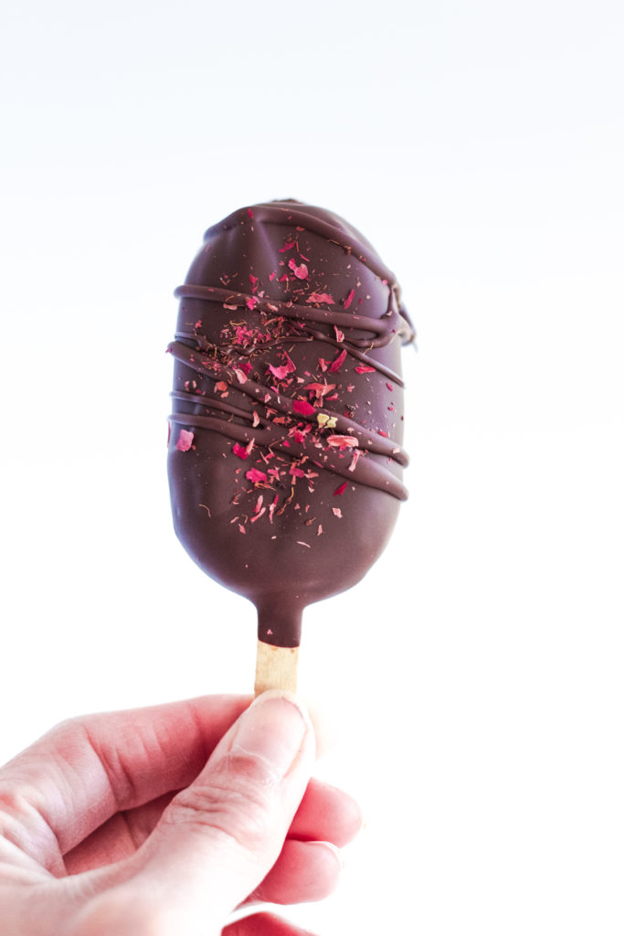 Raw Vegan Chocolate Protein Bars