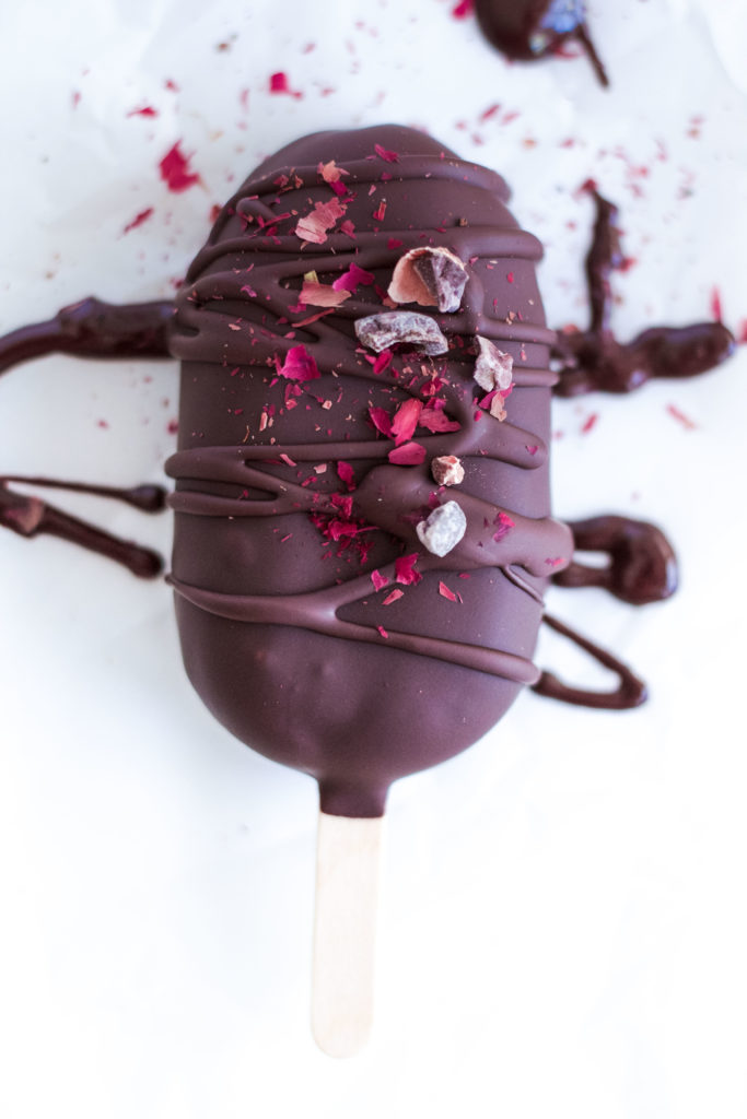 Vegan Chocolate Protein Bar