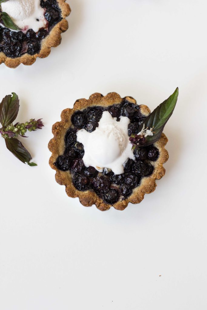 Paleo Vegan Blueberry Tart