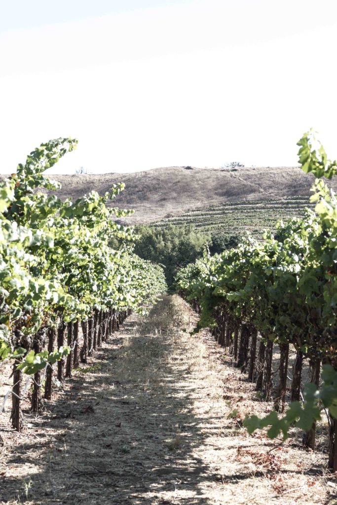 Napa