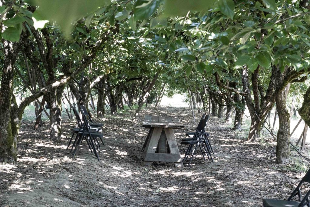 Apple Picking at Gabriel Farm