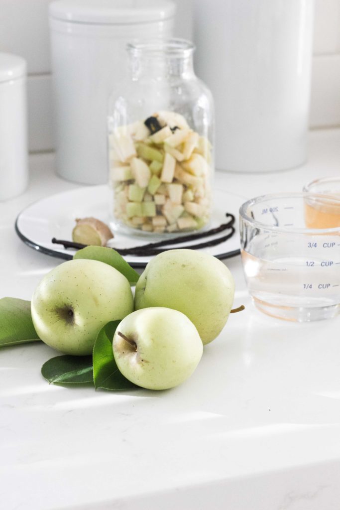 Apple Vanilla Ginger Shrub