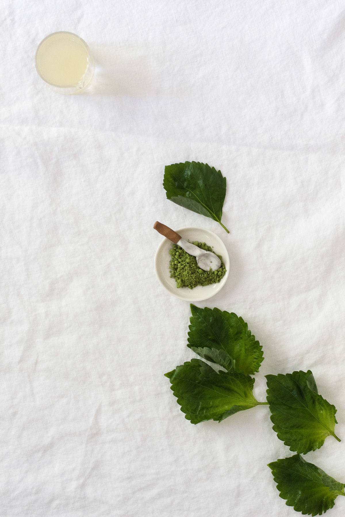 matcha yuzu shisho summer spritzer