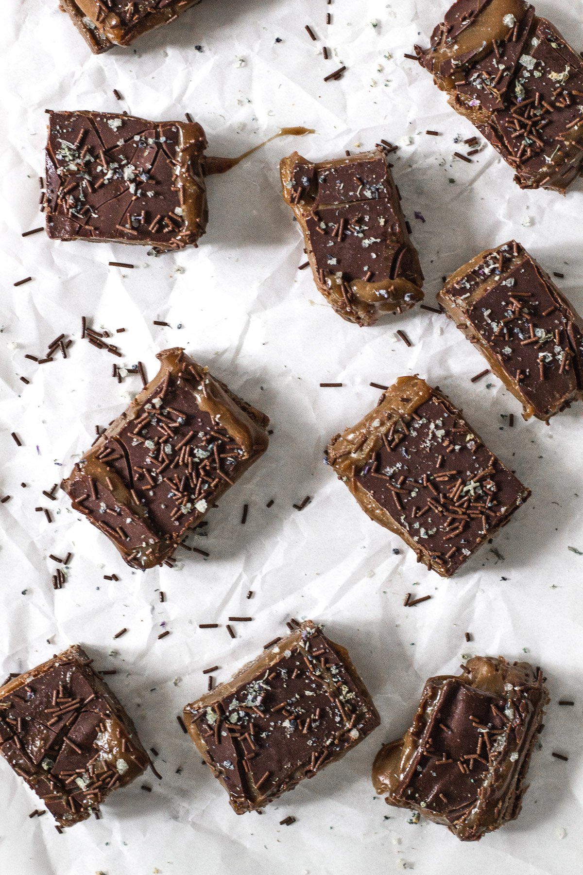 raw vegan billionaire bars