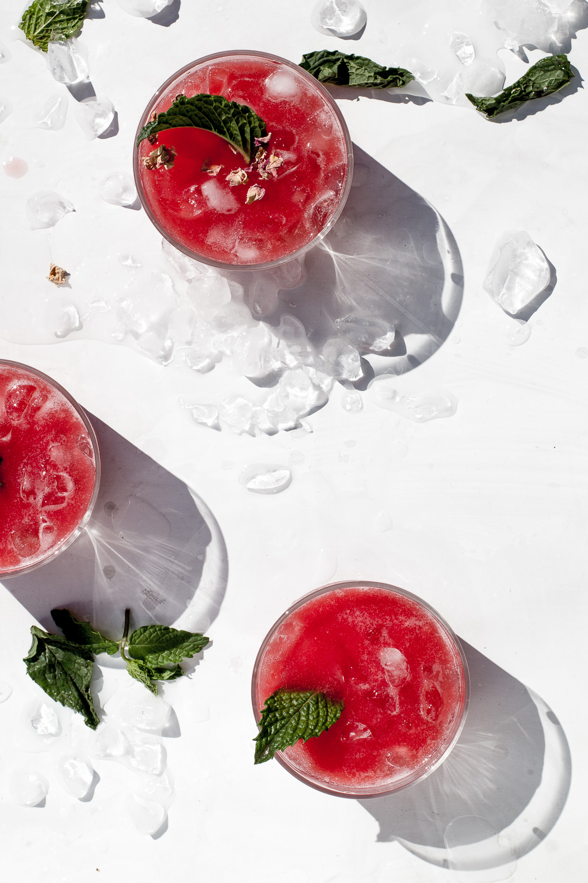 Watermelon Rose Refresher Rezel Kealoha