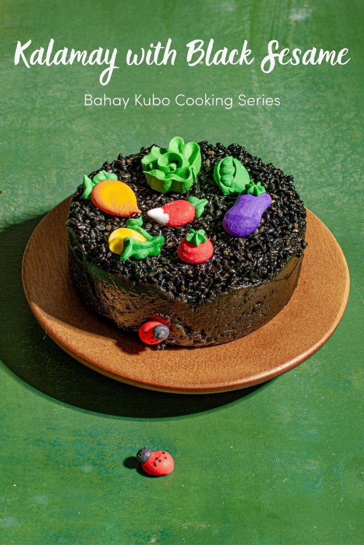 Black sesame kalamay on a wooden plate with a green background.