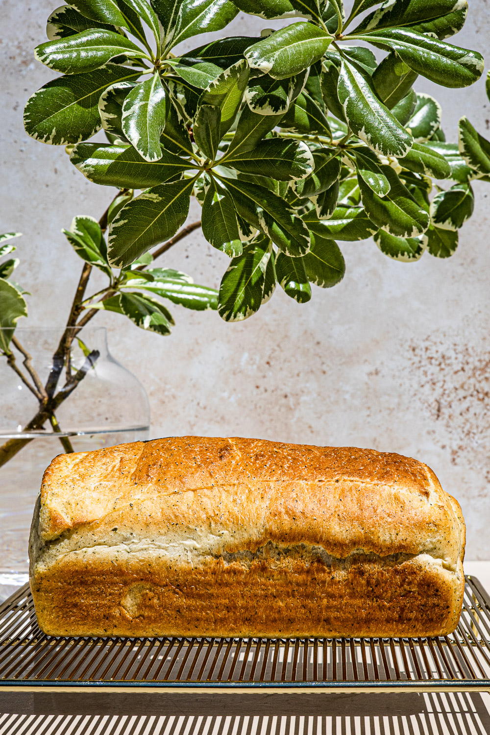 Malunggay Bread on a gold wire rack with a vase filled with water and plants in the background.
