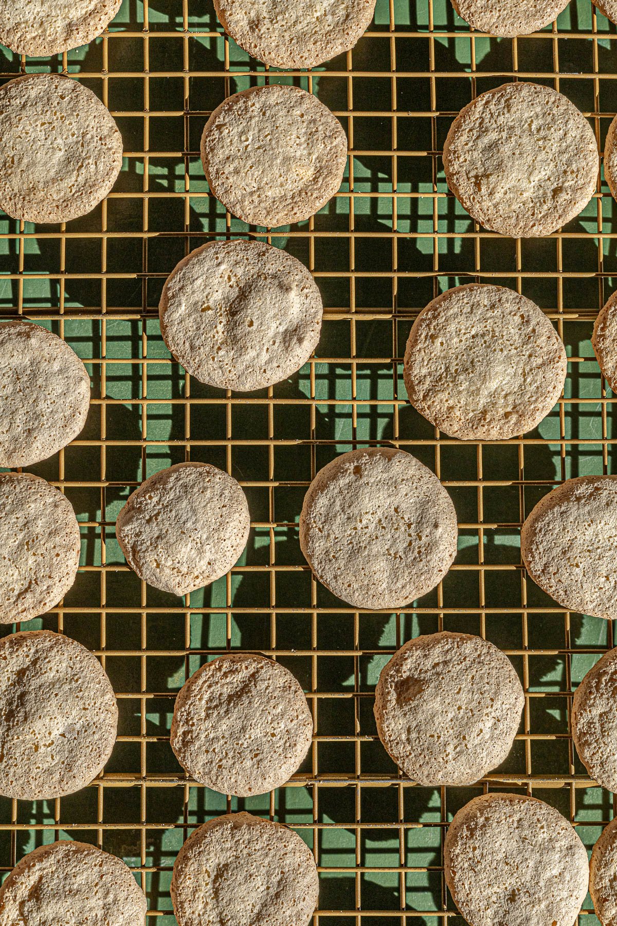 Pacencia Cookie cooling on a wire rack.